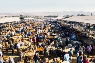 موعد عيد الاضحى في تركيا لعام 2025: متى تسافر وكيف تحتفل بالعيد الكبير!